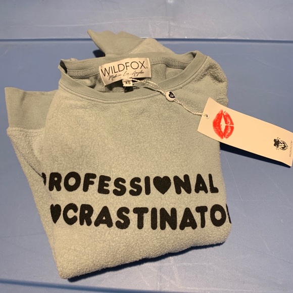 WILDFOX Procrastinator Terry Slogan Sweatshirt - Picture 2 of 5